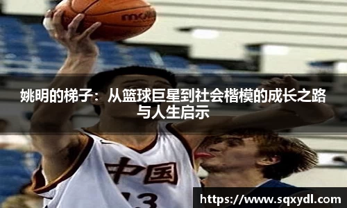 姚明的梯子：从篮球巨星到社会楷模的成长之路与人生启示